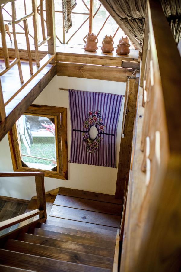 Pine Ridge Lodge 산 이그나시오 외부 사진